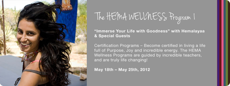 The Hem Wellness Program 1