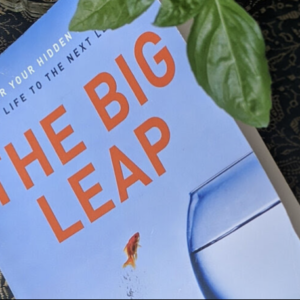 The Big Leap Book